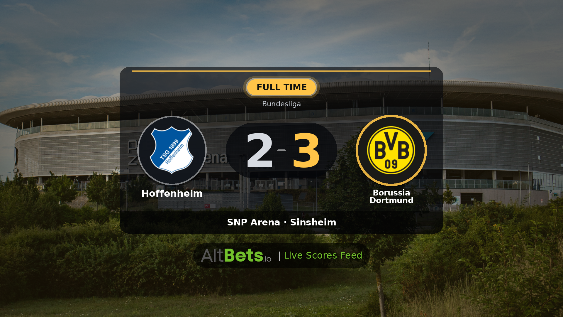 Hoffenheim 2-3 Borussia Dortmund: Match Recap and Result