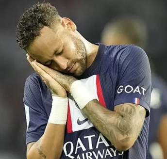 mountrawins's profile picture