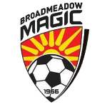 Home Team Logo
