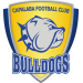Home Team Logo