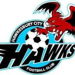 Home Team Logo
