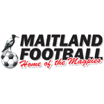 Away Team Logo