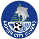 Home Team Logo