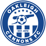 Home Team Logo