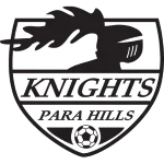 Home Team Logo