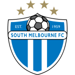 Home Team Logo