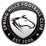 Home Team Logo