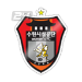 Home Team Logo