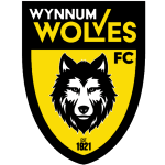 Home Team Logo